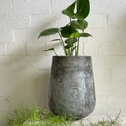 THE PLANT SOCIETY ONLINE OUTPOST Large Planters Tear Drop Planter