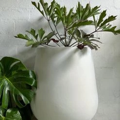 THE PLANT SOCIETY ONLINE OUTPOST Large Planters Tear Drop Planter