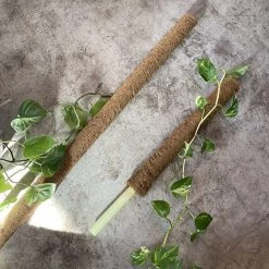 THE PLANT SOCIETY Coir Totem Stake