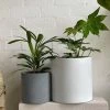 THE PLANT SOCIETY ONLINE OUTPOST Tub Planter