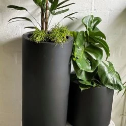 THE PLANT SOCIETY ONLINE OUTPOST Large Planters Tall Tub Planter