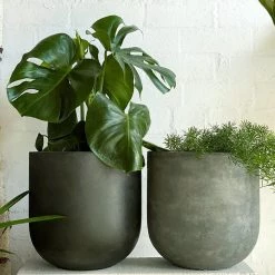 THE PLANT SOCIETY ONLINE OUTPOST U-Planter