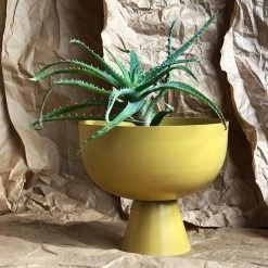 THE PLANT SOCIETY Metal Planters Small Vera Planter By Lightly