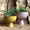 THE PLANT SOCIETY Large Vera Planter By Lightly