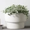 THE PLANT SOCIETY Medium Planters Large Podium Planter By Zakkia