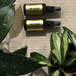 The Spray By The Plant Society X You, Me & Bones All Homewares