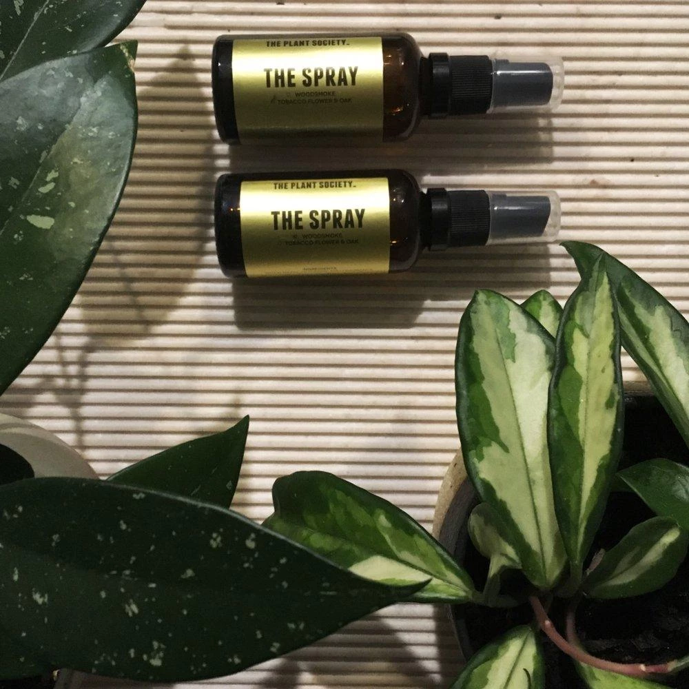 The Spray By The Plant Society X You, Me & Bones All Homewares