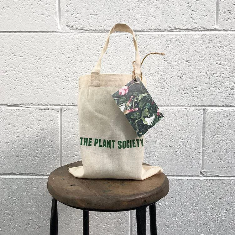 Plant Care The Plant Society - Home Plant Butler™ Kit 8 Plant Care The Plant Society - Home Plant Butler™ Kit