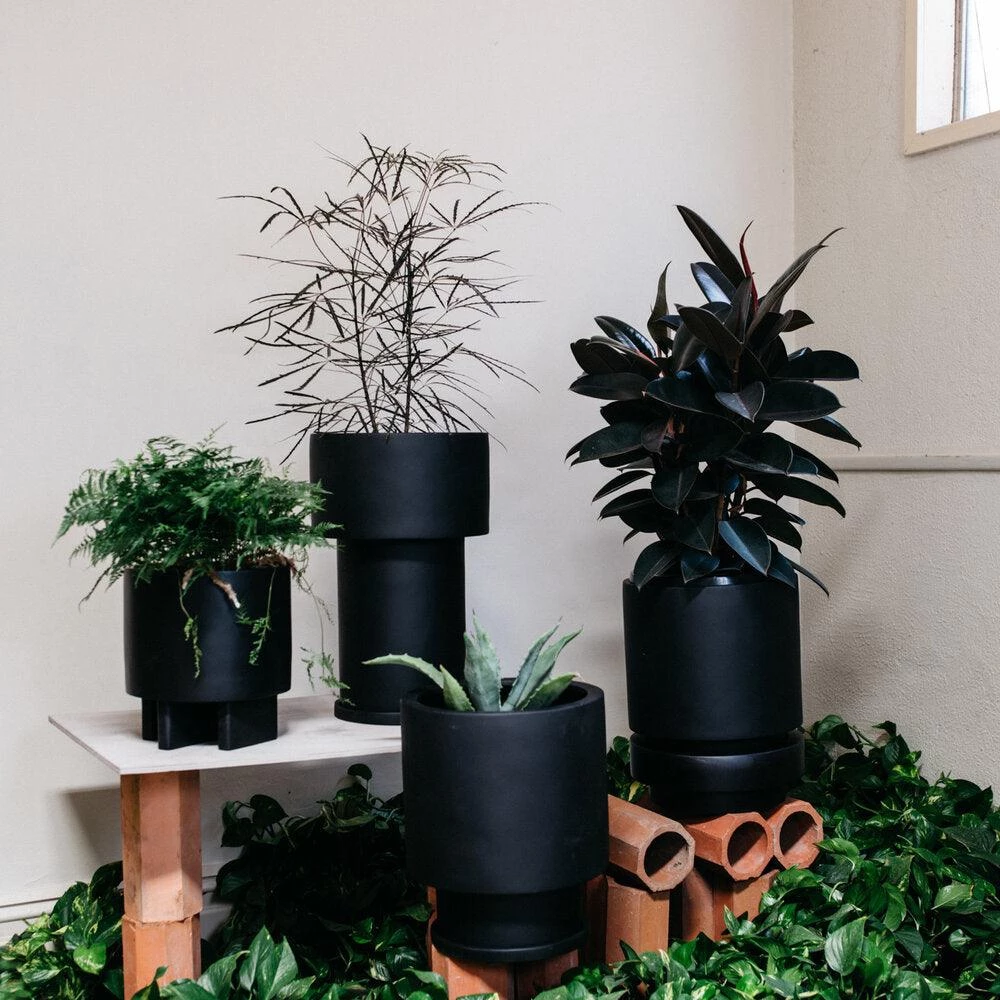 Tall Tower Planter By The Plant Society X Capra Designs- Totem Collection - Totem Collection By The Plant Society 12 Tall Tower Planter By The Plant Society X Capra Designs- Totem Collection - Totem Collection By The Plant Society
