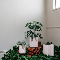 THE PLANT SOCIETY ONLINE OUTPOST Totem Collection By The Plant Society Large Flute Planter By The Plant Society X Capra Designs - Totem Collection - 8 THE PLANT SOCIETY ONLINE OUTPOST Totem Collection By The Plant Society Large Flute Planter By The Plant Society X Capra Designs - Totem Collection -