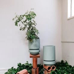 Low Pier Planter By The Plant Society X Capra Designs- Totem Collection - Totem Collection By The Plant Society