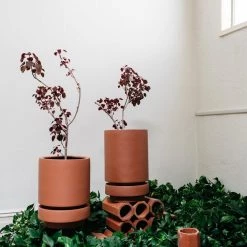 Low Pier Planter By The Plant Society X Capra Designs- Totem Collection - Totem Collection By The Plant Society