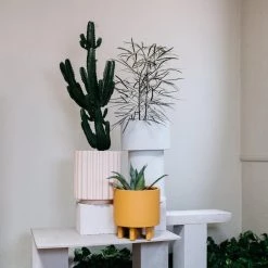 Tall Tower Planter By The Plant Society X Capra Designs- Totem Collection - Totem Collection By The Plant Society 25 Tall Tower Planter By The Plant Society X Capra Designs- Totem Collection - Totem Collection By The Plant Society
