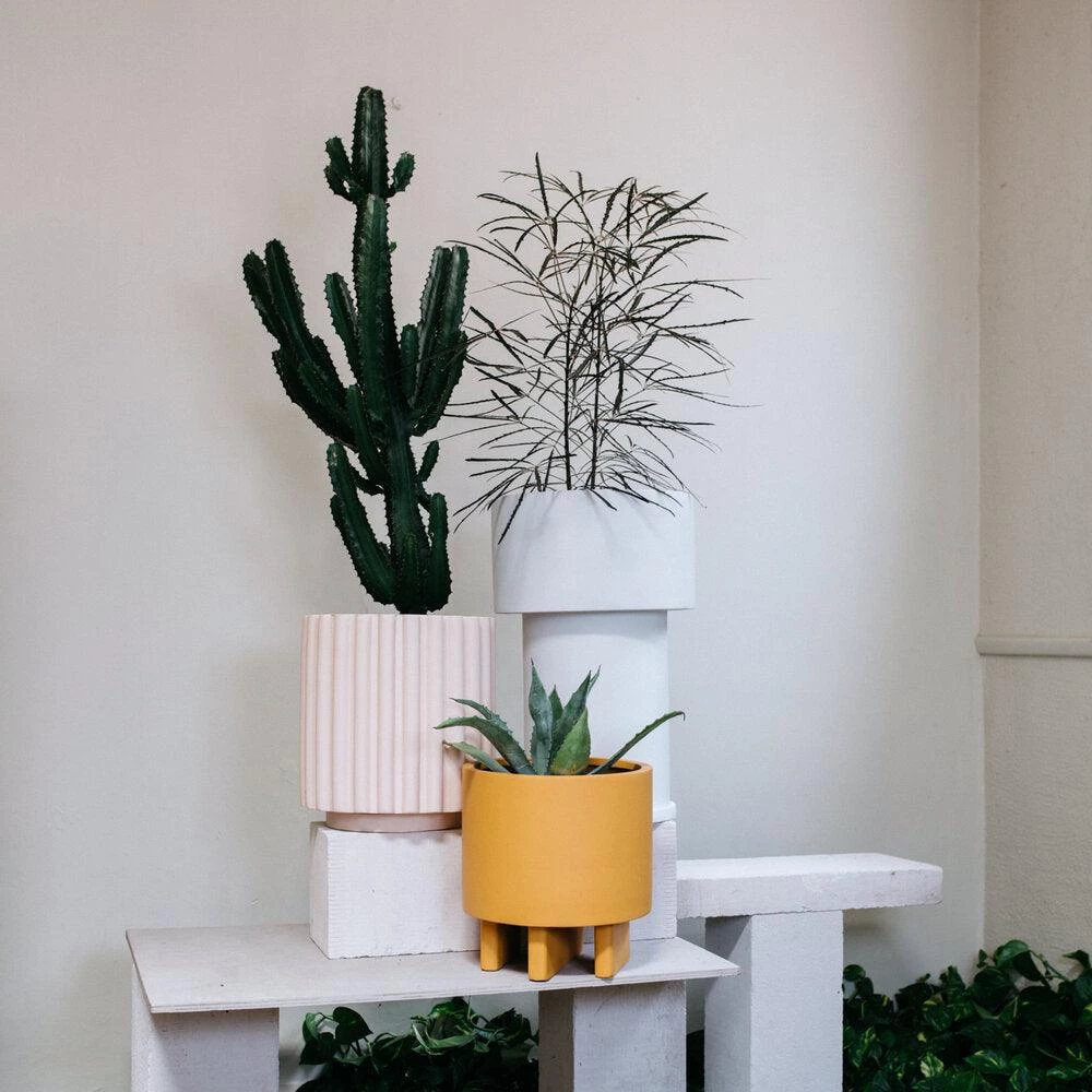 Tall Tower Planter By The Plant Society X Capra Designs- Totem Collection - Totem Collection By The Plant Society 13 Tall Tower Planter By The Plant Society X Capra Designs- Totem Collection - Totem Collection By The Plant Society