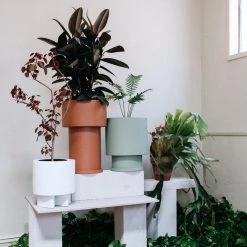 Totem Collection By The Plant Society Low Tower Planter By The Plant Society X Capra Designs- Totem Collection -