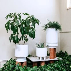 Totem Collection By The Plant Society Low Tower Planter By The Plant Society X Capra Designs- Totem Collection -