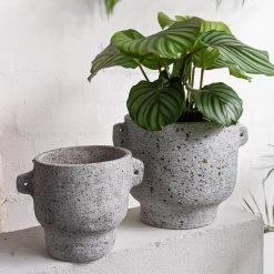 THE PLANT SOCIETY All Planters Niobium Planter By Buzzby & Fang