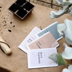 THE PLANT SOCIETY Settler Seeds - Zinnia