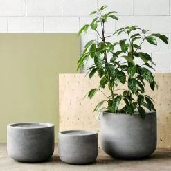 THE PLANT SOCIETY ONLINE OUTPOST Gardeners Planter - Cement Grey