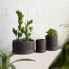 THE PLANT SOCIETY Black Fluted Planter By Arcadia Scott All Planters