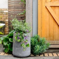 THE PLANT SOCIETY ONLINE OUTPOST Large Planters Tapered Planter In Cement Grey
