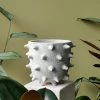 THE PLANT SOCIETY Extra Large Spike Planter By Buzzby & Fang
