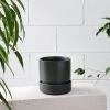 Cora Planter By The Plant Society In Slate Designed By The Plant Society