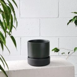 Cora Planter By The Plant Society In Slate Designed By The Plant Society