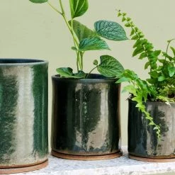 THE PLANT SOCIETY Moody Green Bench Planter By Jenn Johnston All Planters