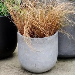 THE PLANT SOCIETY ONLINE OUTPOST U-Planter