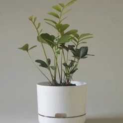 THE PLANT SOCIETY Self Watering Planter 215mm By Mr Kitly Small Planters