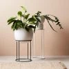 THE PLANT SOCIETY Lotus Plant Stand In Black By Evergreen Collective All Planters