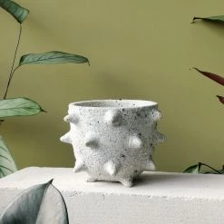 THE PLANT SOCIETY Spike Planter By Buzzby & Fang All Planters