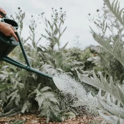 THE PLANT SOCIETY Plant Care The Cradley Cascader Watering Can - 1.5 Gallon By Haws