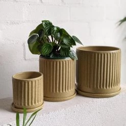 THE PLANT SOCIETY Wheat Fluted Planter By Arcadia Scott