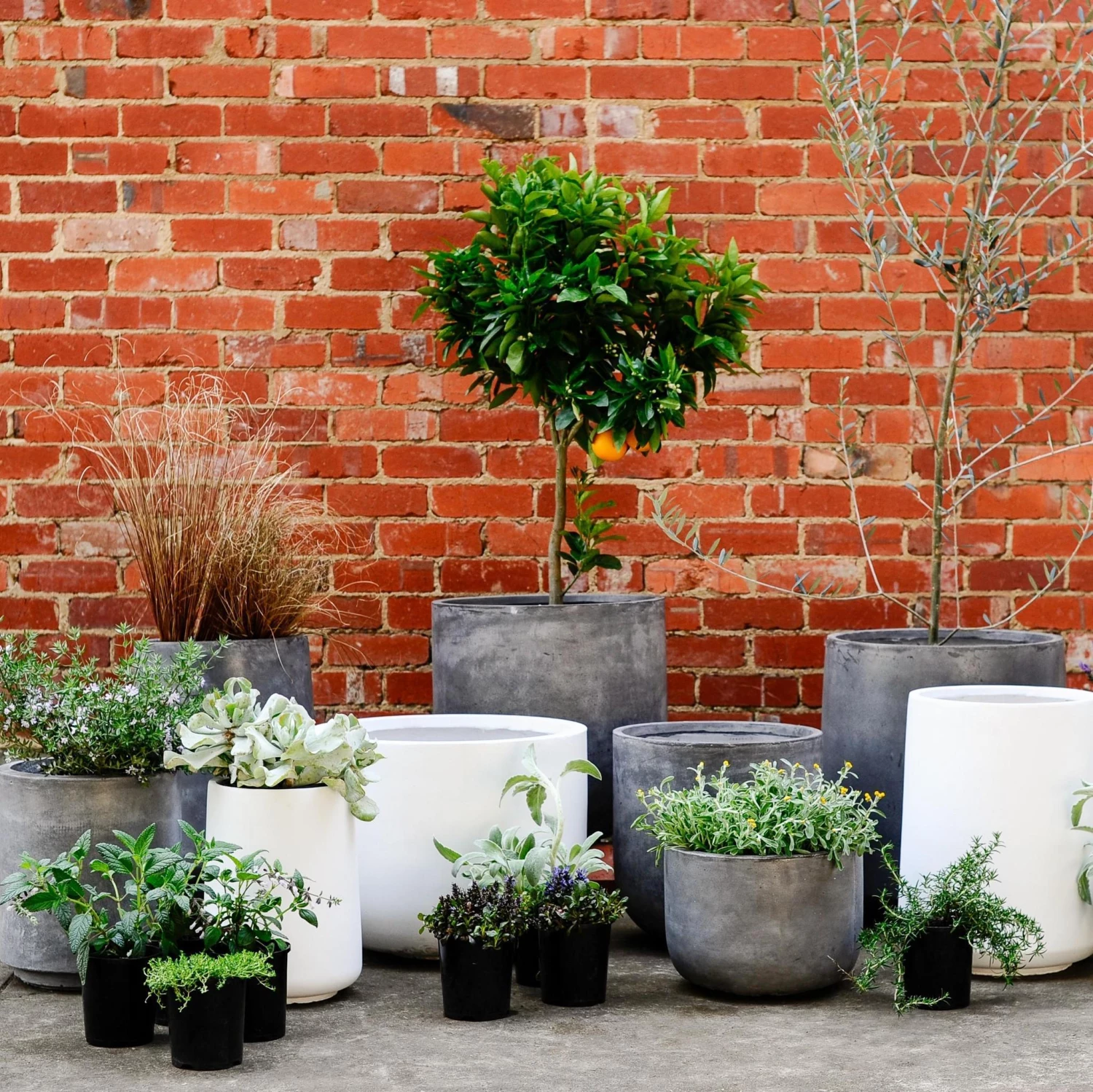 Large Planters Urban & Contemporary Collections By The Plant Society 16 Large Planters Urban & Contemporary Collections By The Plant Society