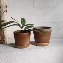 THE PLANT SOCIETY Bell Flame Wood Fired Planters By Sandra Bowkett