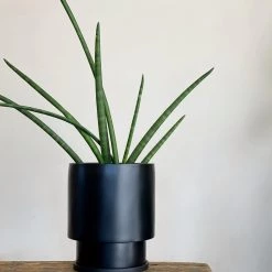 Totem Collection By The Plant Society Midi Low Tower Planter By The Plant Society X Capra Designs- Totem Collection - 14 Totem Collection By The Plant Society Midi Low Tower Planter By The Plant Society X Capra Designs- Totem Collection -