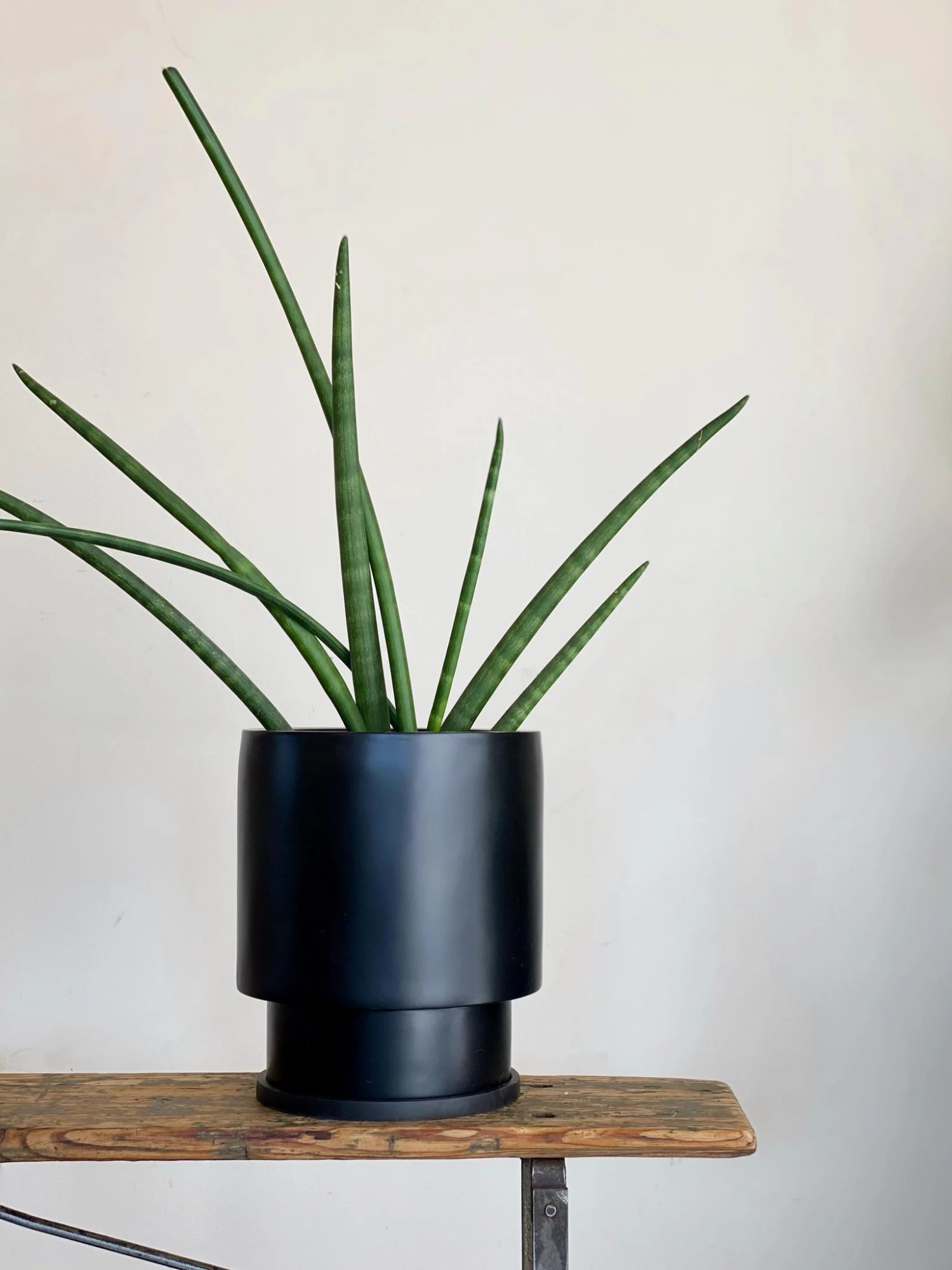Totem Collection By The Plant Society Midi Low Tower Planter By The Plant Society X Capra Designs- Totem Collection - 8 Totem Collection By The Plant Society Midi Low Tower Planter By The Plant Society X Capra Designs- Totem Collection -
