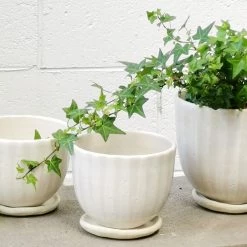 THE PLANT SOCIETY Milky Striped Round Planter By Lisa Peri All Planters