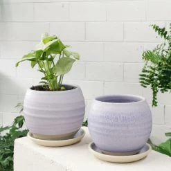 THE PLANT SOCIETY Round Planter By Katherine Mahoney