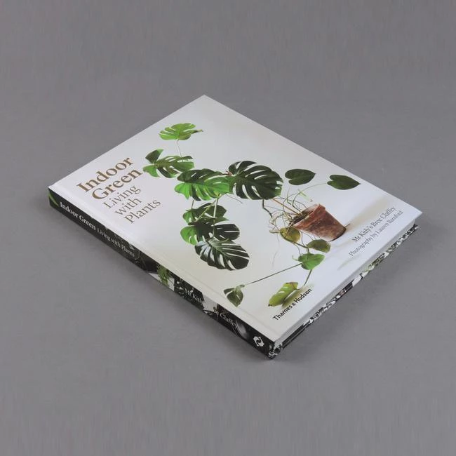 THE PLANT SOCIETY All Homewares Indoor Green - Living With Plants By Bree Claffey 3 THE PLANT SOCIETY All Homewares Indoor Green - Living With Plants By Bree Claffey