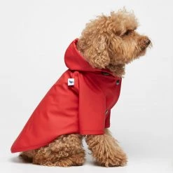 THE PLANT SOCIETY Sarah Dog Raincoat In Plain Adrenalin Red By The Painter's Wife