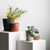THE PLANT SOCIETY All Planters Bonnie Planter In White By Evergreen Collective