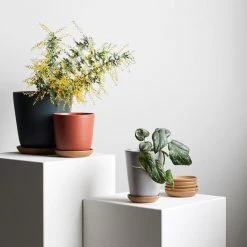THE PLANT SOCIETY Bonnie Planter In Brick By Evergreen Collective