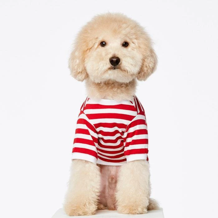 THE PLANT SOCIETY All Homewares David Stripped Dog T-Shirt In Red By The Painter's Wife 6 THE PLANT SOCIETY All Homewares David Stripped Dog T-Shirt In Red By The Painter's Wife