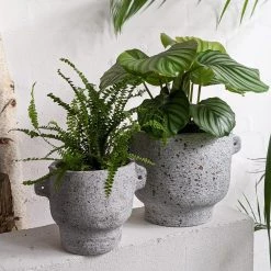 THE PLANT SOCIETY All Planters Tantalum Planter By Buzzby & Fang