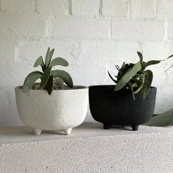 THE PLANT SOCIETY Pentagonal Planter By Buzzby & Fang