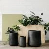 THE PLANT SOCIETY ONLINE OUTPOST Large Planters Tapered Planter In Charcoal