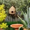 THE PLANT SOCIETY Birdhouse Water Hyacinth All Homewares